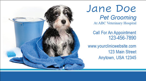 Veterinary grooming business card featuring a wet black-and-white dog wrapped in a blue towel beside a bucket, sponge, and grooming supplies.

