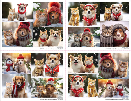 4DCMIX69- 4 up Reminder Card (4DCMIX69)