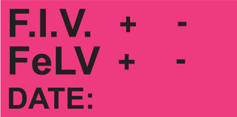 Bright pink rectangular sticker with F.I.V. and FeLV fields, plus and minus indicators, and DATE line

