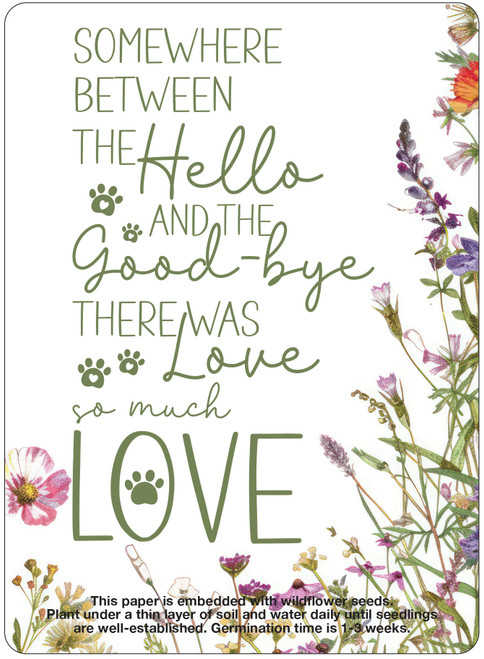 Wildflower seed memorial insert featuring a green remembrance quote, paw print accents, and colorful wildflowers along the right side and bottom border.