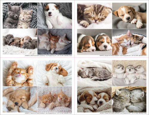 4DCMIX74- 4 up Reminder Card (4DCMIX74)