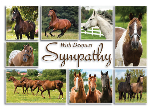 SYMEQ17 - Sympathy Card (SYMEQ17) SYMEQ17 - Sympathy Card (SYMEQ17)