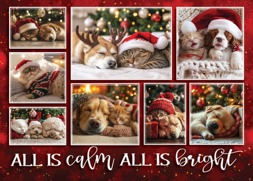 XMS74 - Holiday Card (XMS74)