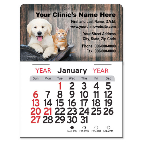 Golden retriever puppy and orange tabby kitten sitting in a basket against a rustic wood plank background with customizable veterinary clinic information and monthly mini calendar.

