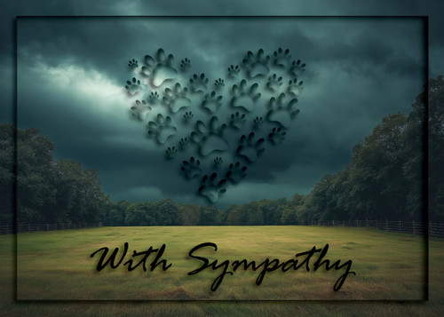 Dark cloudy sky over an open field with a heart shape formed by multiple paw prints and the words “With Sympathy” in bold script at the bottom.