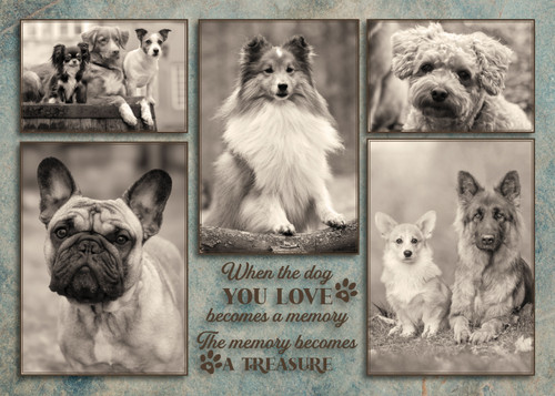 Black-and-white collage of multiple dog portraits including various breeds with a central quote reading “When the dog you love becomes a memory, the memory becomes a treasure.”