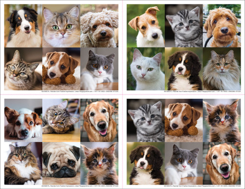Pet portrait collage veterinary reminder cards featuring a grid of close-up dog and cat faces in vibrant, full-color photography on a 4-up card layout