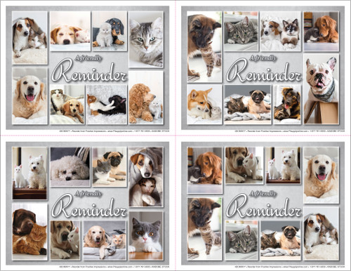 Veterinary reminder cards featuring a collage of dogs and cats with soft gray backgrounds and “A Friendly Reminder” text in a clean