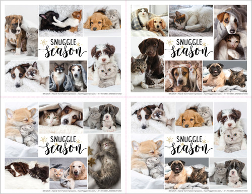 Snuggle Season veterinary reminder cards featuring cozy dogs and cats wrapped in blankets with soft neutral tones and warm pet photography in a 4-up card layout