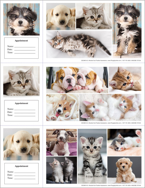 Veterinary reminder card sheet featuring a playful collage of puppies and kittens in bright, clean layout with multiple pet photos and appointment section