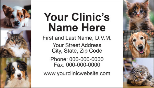 Veterinary business card featuring six dog and cat portraits surrounding a central contact information panel on a light gray background.

