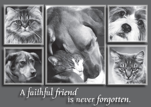 SYM10 - Sympathy Card