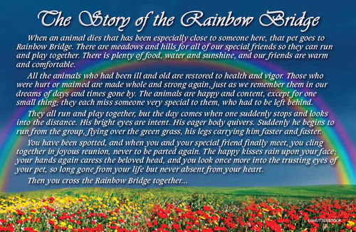 Rainbow over a green meadow with red and yellow wildflowers beneath a blue sky and the memorial text “The Story of the Rainbow Bridge.”

