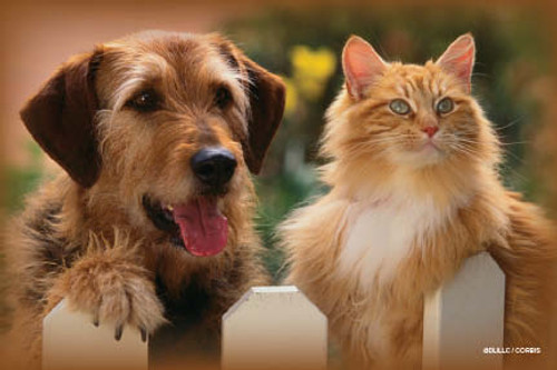 VPCDC5 - Postcard VPCDC5 - Postcard