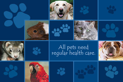 Blue paw print design featuring a dog, cat, guinea pig, ferret, parrot, and bulldog with the message "All pets need regular health care."