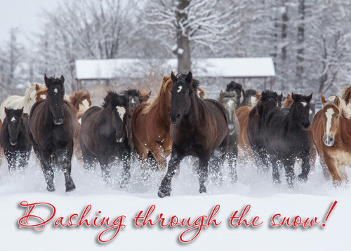 XMS18 - Holiday Card