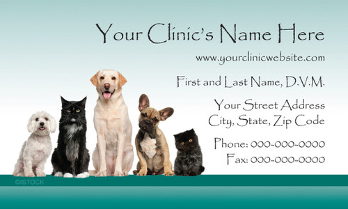 Veterinary business card with a group of dogs and cats, light blue gradient background, teal bottom border, and contact information layout.

