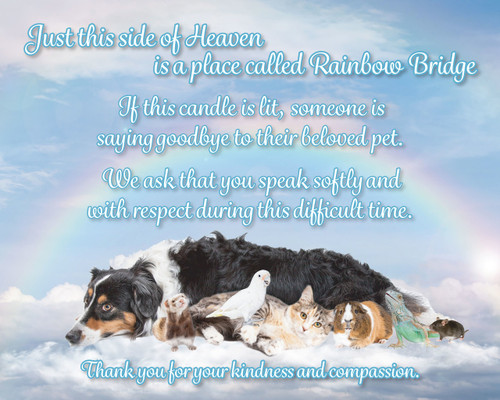 EP2 - Euthanasia Poster