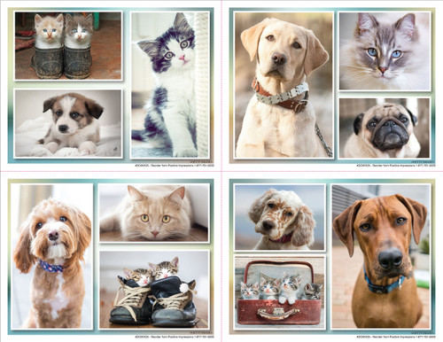 4DCMIX35 - 4 up laser