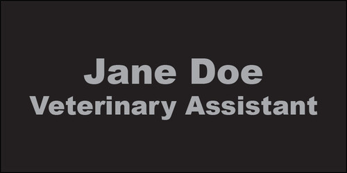 NTE - Engraved Name Tag (Multiple Colors Available) NTE - Engraved Name Tag (Multiple Colors Available)