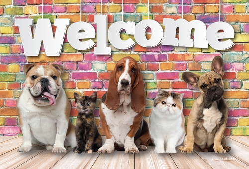 English Bulldog, Basset Hound, French Bulldog, and two kittens beneath a large Welcome sign against a colorful brick wall.