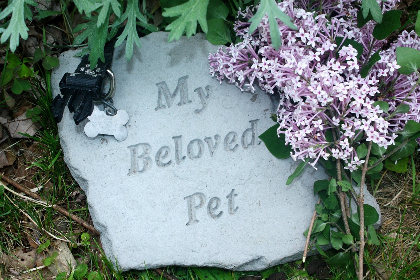 Creating a pet memorial: Incorporating pet cremation jewelry into a 