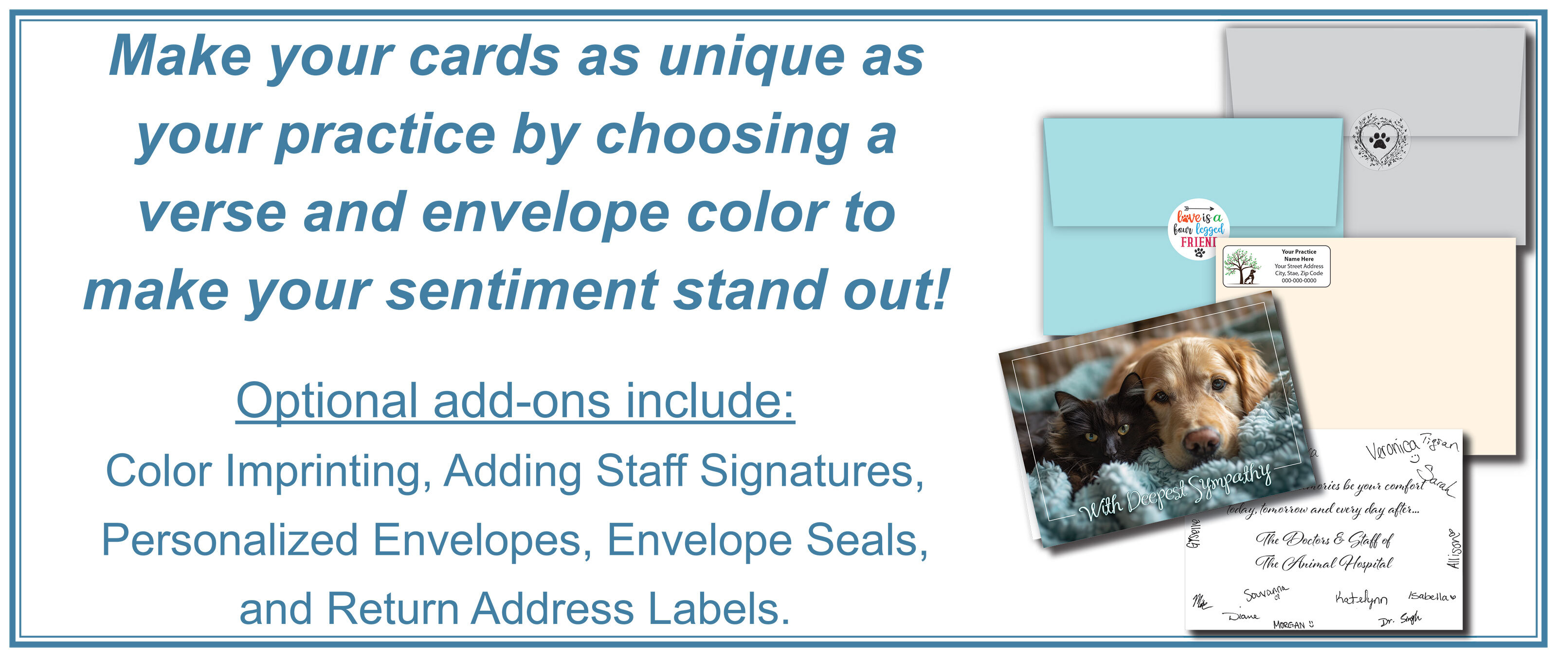 occasion-card-options-web-banner.jpg