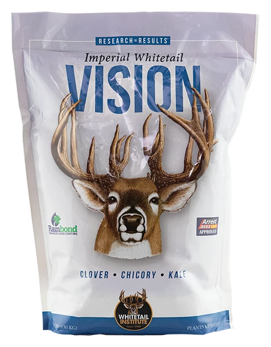 Vision