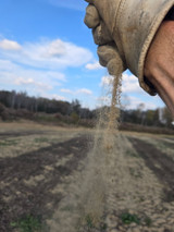 When the Rain Doesn’t Come: A Letter of Hope to Food Plotters