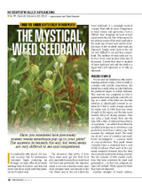 The Mystical Weed Seedbank