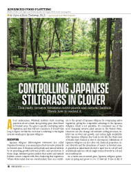 Controlling Japanese Stiltgrass in Clover