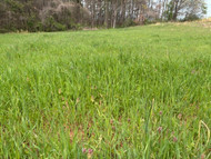 Crops Becoming Weeds: Heresy or Reality?