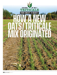HOW A NEW OATS/TRITICALE MIX ORGINATED