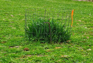 The Value of an Exclusion Cage