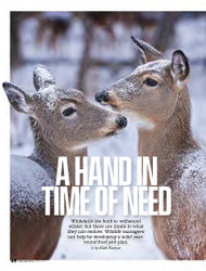 A HAND IN TIME OF NEED