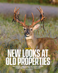 Fresh Eyes: New Looks at Old Properties