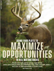 Using Food Plots to Maximize Opportunities to Kill Mature Bucks