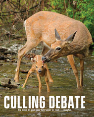 Culling Debate It's time to put this hot topic to rest - maybe