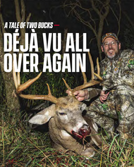A Tale of Two Bucks - Deja Vu All Over Again