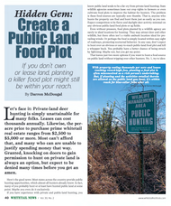 Hidden Gem: Create a Public Land Food Plot