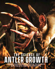 The Science of Antler Growth