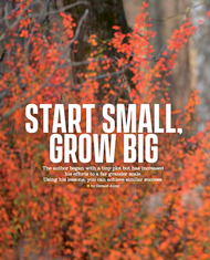 Start Small, Grow Big