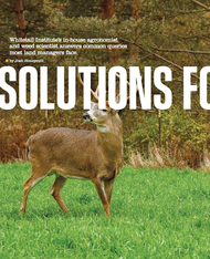 Solutions for Questions
