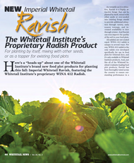 Imperial Whitetail Ravish Radish