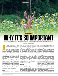 PowerPlant: Why It's So Important