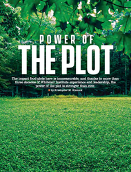 Power of the Plot