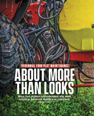 Perennial Food Plot Maintenance: About More Than Looks