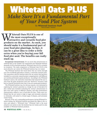 Whitetail Oats Plus Make Sure It's a Fundamental Part of Your Food Plot System