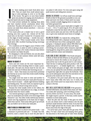 How to Make a Poor-Man's Food Plot