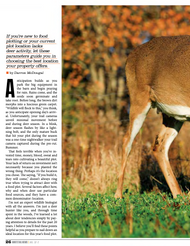 How to Choose an Ideal Food Plot Location